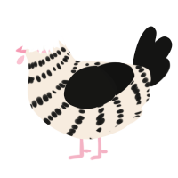 A cream and black chicken with a bar pattern