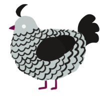 A silver and sable chicken with a lace pattern
