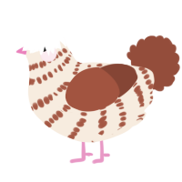 A cream and russet chicken with a bar pattern