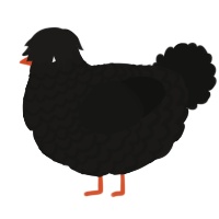 A sable and black chicken with a lace pattern