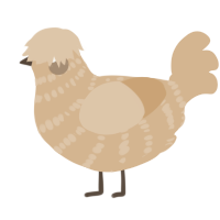 A beige chicken with a bar pattern