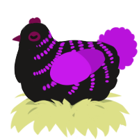A sable and amethyst chicken with a half-bar pattern