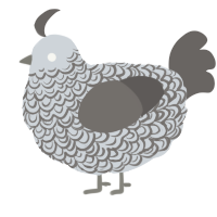 A mist and grey chicken with a double-lace pattern