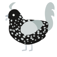 A sable and silver chicken with a speckle pattern