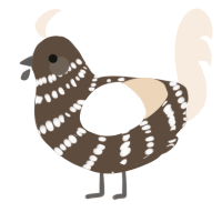 A bark and cream chicken with a bar pattern