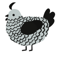A silver and black chicken with a lace pattern
