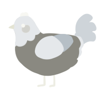 A ash and mist chicken with a head pattern
