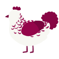 A white and maroon chicken with a half-lace pattern