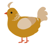 A ochre and beige chicken with a neck-band pattern