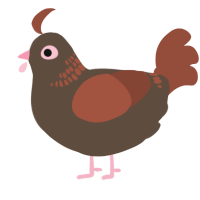 A bark and russet chicken with a neck-band pattern
