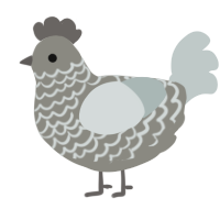 A ash and silver chicken with a lace pattern