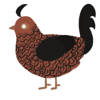 A russet and sable chicken with a double-lace pattern