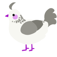 A white and ash chicken with a neck-speckle pattern