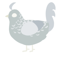 Husk, a silver and mist chicken with a half-lace pattern