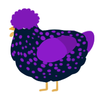 A tumblr and violet chicken with a speckle pattern
