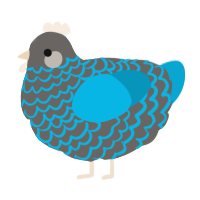 A grey and cerulean chicken with a lace pattern