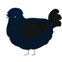A tumblr and black chicken with a lace pattern