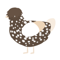 A bark and cream chicken with a speckle pattern