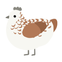 A white and brown chicken with a half-lace pattern