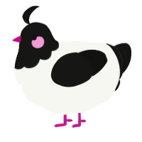 A white and black chicken with a head pattern