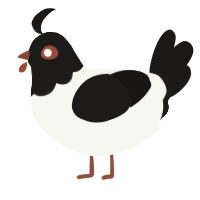 A white and sable chicken with a head pattern