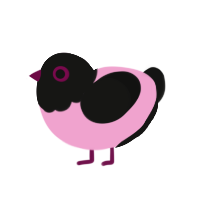 Black Lady, a pink and black chicken with a head pattern