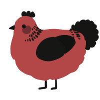 A red and black chicken with a neck-band pattern