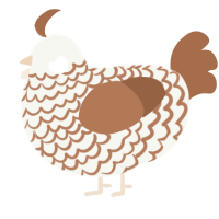 A white and brown chicken with a lace pattern
