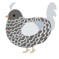 A grey and mist chicken with a lace pattern
