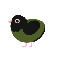 olive, a olive and black chicken with a head pattern