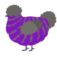 A violet and grey chicken with a bar pattern