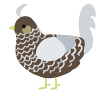 A bark and mist chicken with a lace pattern