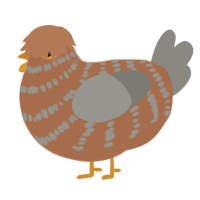 A brown and ash chicken with a bar pattern