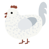 A white and mist chicken with a speckle pattern