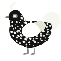 A black and white chicken with a speckle pattern