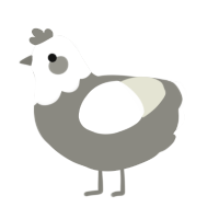 A ash and white chicken with a head pattern