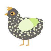 A grey and apple chicken with a speckle pattern
