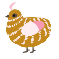 A ochre and rose chicken with a bar pattern