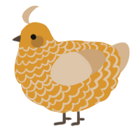 A orange and beige chicken with a lace pattern