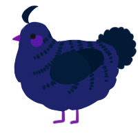 A navy and tumblr chicken with a half-bar pattern