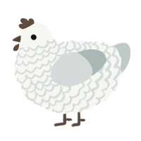 A white and silver chicken with a lace pattern