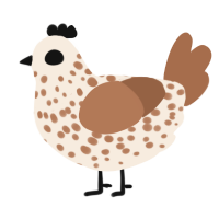 tiramisu latte, a cream and brown chicken with a speckle pattern