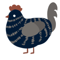 A tumblr and grey chicken with a bar pattern