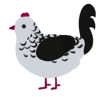 A mist and black chicken with a half-lace pattern