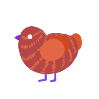 Pumkin, a red and vermilion chicken with a bar pattern