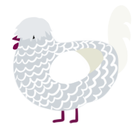 A mist and white chicken with a lace pattern