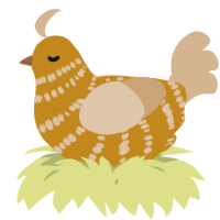 A ochre and beige chicken with a bar pattern