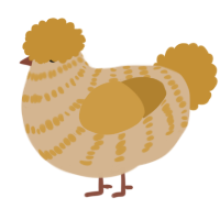 A beige and gold chicken with a bar pattern