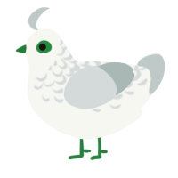 A white and silver chicken with a half-lace pattern
