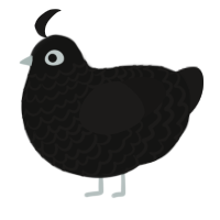 A black and sable chicken with a lace pattern